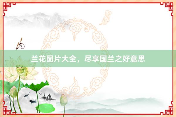 兰花图片大全，尽享国兰之好意思