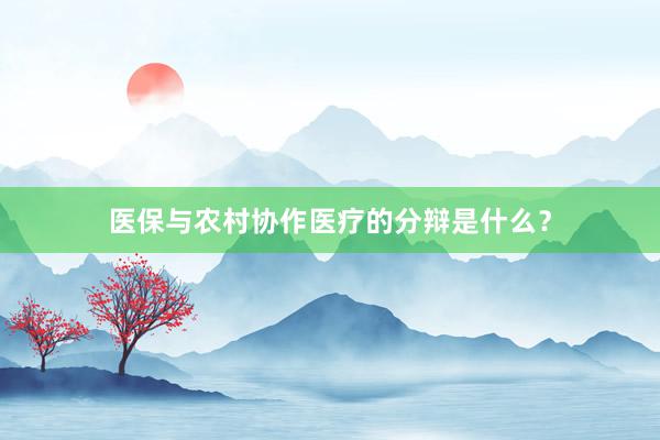 医保与农村协作医疗的分辩是什么？