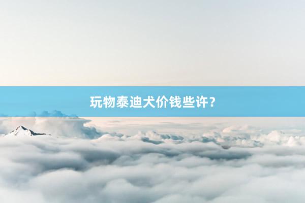 玩物泰迪犬价钱些许?