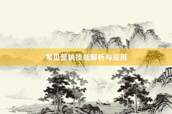 常见营销技能解析与应用