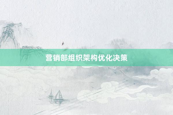 营销部组织架构优化决策